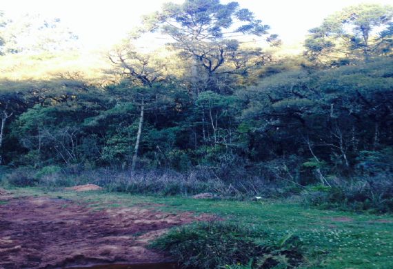 Terreno à venda, Jardim Monte Verde III, 