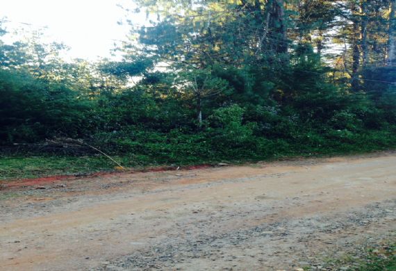 Terreno à venda, Parque das Araucárias, 