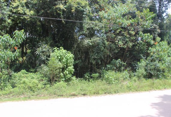 Terreno à venda, Balneário Monte Verde, Monte Verde