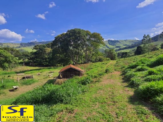 Rural à venda, Bom Jardim, 